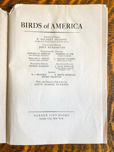 Owl Species 1936 Vintage Fuertes Bird Print Plate from Birds of America