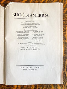Warbler Species 1936 Vintage Fuertes Bird Print Plate from Birds of America
