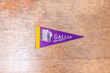 Load image into Gallery viewer, Gallup New Mexico Purple Felt Pennant Vintage NM Wall Decor - Eagle&#39;s Eye Finds

