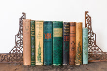 Load image into Gallery viewer, Autumn Book Collection Vintage Earthy Toned Floral Books - Eagle&#39;s Eye Finds
