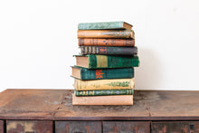 Load image into Gallery viewer, Autumn Book Collection Vintage Earthy Toned Floral Books - Eagle&#39;s Eye Finds
