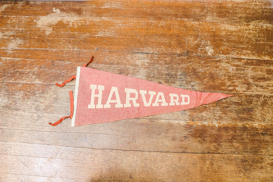 Harvard Felt Pennant Vintage Collegiate Wall Decor