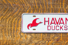 Load image into Gallery viewer, Havana Ducks Illinois License Plate Topper Vintage Bird Decor

