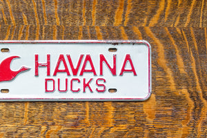 Havana Ducks Illinois License Plate Topper Vintage Bird Decor