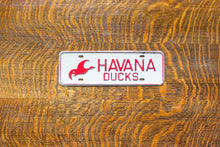 Load image into Gallery viewer, Havana Ducks Illinois License Plate Topper Vintage Bird Decor
