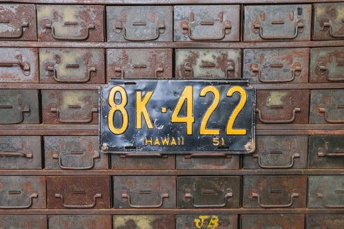 Hawaii 1951 License Plate Vintage Kauai Wall Hanging Decor 8K-422 - Eagle's Eye Finds
