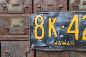 Hawaii 1951 License Plate Vintage Kauai Wall Hanging Decor 8K-422 - Eagle's Eye Finds