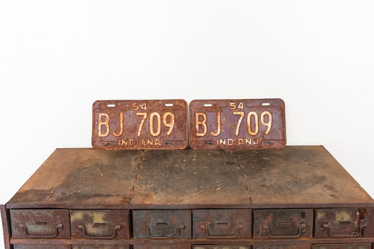 1954 Indiana Rusty License Plate Pair Vintage Brown Wall Hanging Decor BJ709