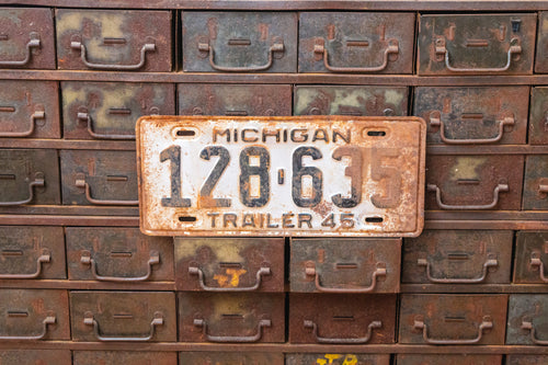 Michigan 1945 License Plate Vintage Rusty Silver Wall Decor 128-635 - Eagle's Eye Finds