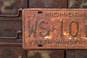 Michigan 1956 Rusty License Plate Vintage Clare County Brown Wall Hanging Decor WS-1018 - Eagle's Eye Finds
