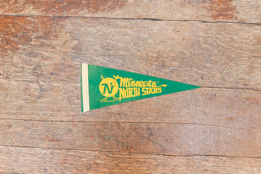 Minnesota North Stars Mini NHL Pennant Vintage Hockey Sports Decor