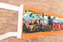 Load image into Gallery viewer, Montana Orange Wildlife Felt Pennant Vintage Decor - Eagle&#39;s Eye Finds
