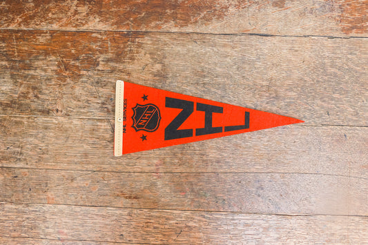 NHL Mini Pennant Vintage Orange Hockey Sports Decor