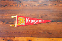 Load image into Gallery viewer, Natural Bridge State Park Red Felt Pennant Vintage Virginia Wall Hanging Decor
