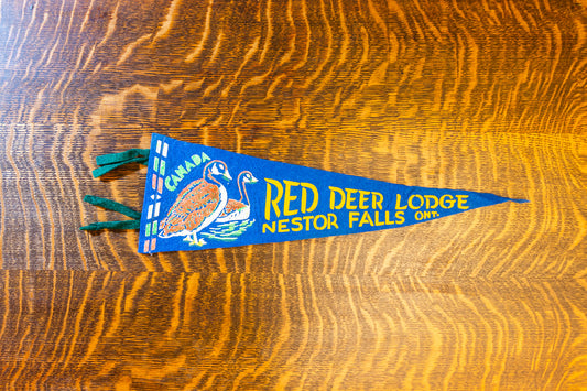 Nestor Falls Ontario Felt Pennant Vintage Blue Canada Wall Decor