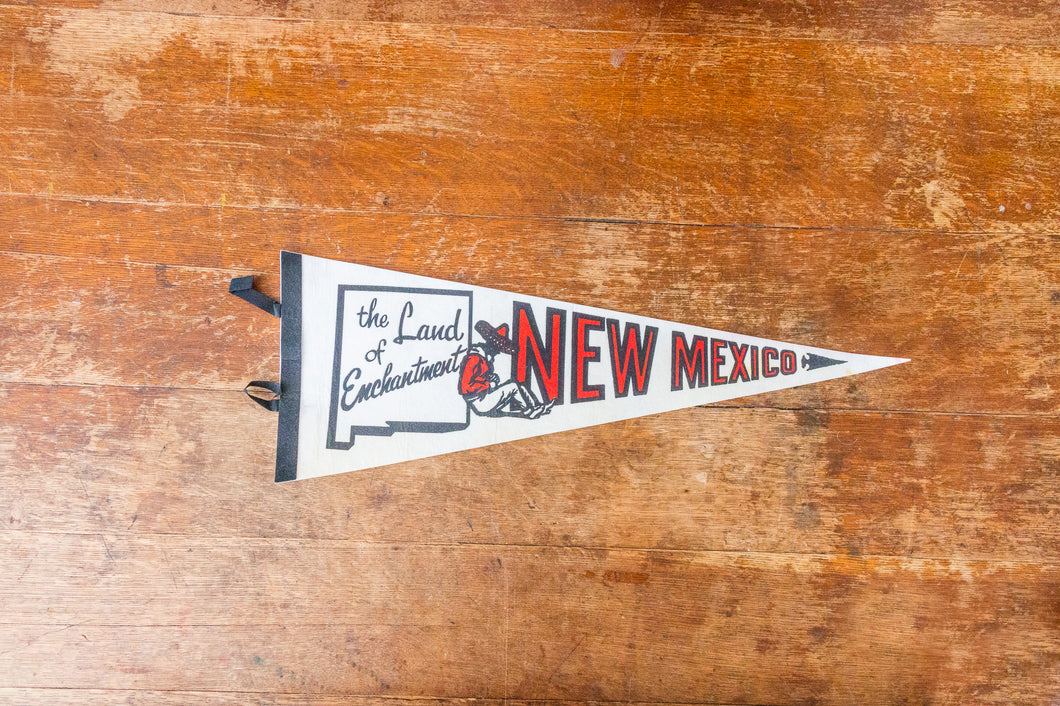 State of New Mexico White Felt Pennant Vintage NM Wall Decor - Eagle's Eye Finds