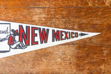 Load image into Gallery viewer, State of New Mexico White Felt Pennant Vintage NM Wall Decor - Eagle&#39;s Eye Finds
