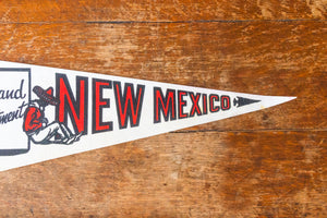 State of New Mexico White Felt Pennant Vintage NM Wall Decor - Eagle's Eye Finds