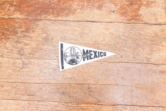 New Mexico State Pennant Vintage Mini White Wall Decor - Eagle's Eye Finds