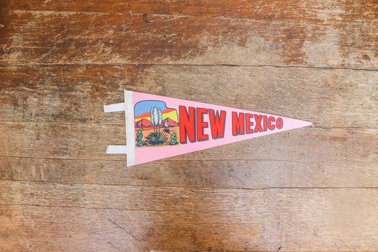New Mexico State Pink Felt Pennant Vintage NM Wall Decor - Eagle's Eye Finds