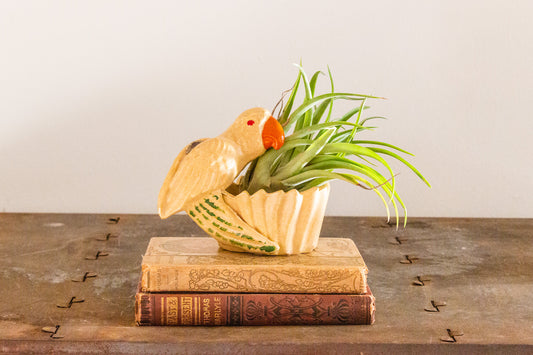 Niloak Parrot Planter Vintage Art Deco Arkansas Pottery Bird Decor