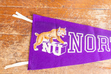 Load image into Gallery viewer, Northwestern University Felt Pennant Vintage College Wall Decor
