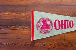 The Ohio State University Felt Pennant Vintage College Sports Fan Decor