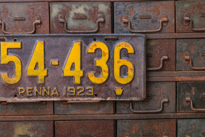 Pennsylvania 1923 License Plate Vintage Black and Yellow Wall Decor - Eagle's Eye Finds