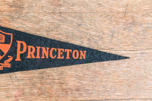 Princeton University Mini Felt Pennant Vintage College Decor