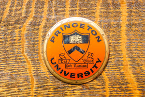 Princeton University Radiator Badge Vintage Shield Emblem