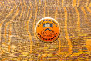 Princeton University Radiator Badge Vintage Shield Emblem