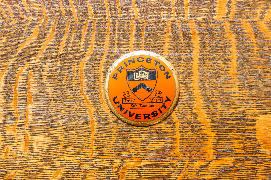 Princeton University Radiator Badge Vintage Shield Emblem