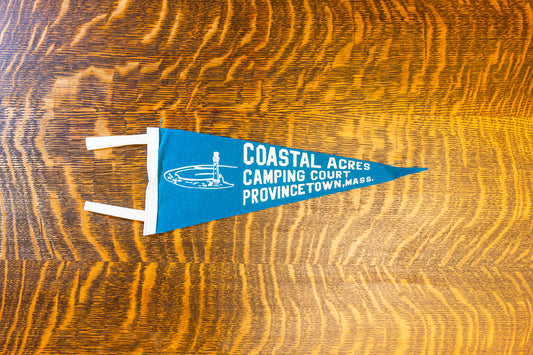 Providence Mass. Blue Felt Pennant Vintage Massachusetts Wall Decor