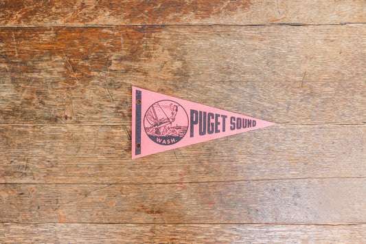 Puget Sound Washington Pennant Vintage Mini Pink Wall Decor