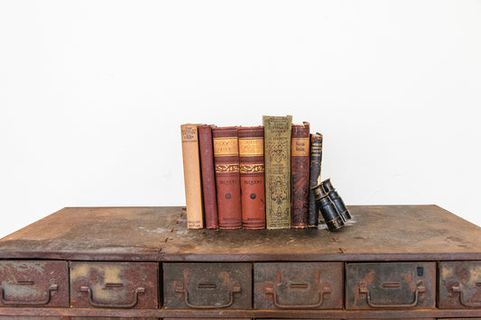 Autumn Classic Book Collection Vintage Earthy Toned Ornate Books Shelf Decor