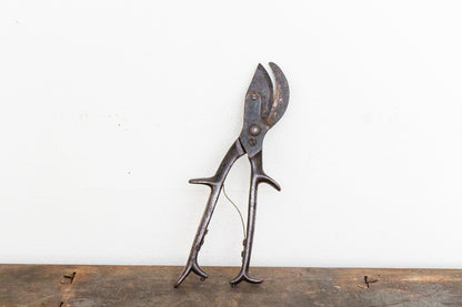 vintage garden scissors Industrial Garden Pruning Shears Vintage 1930s Metal Tool – Eagle's Eye Finds