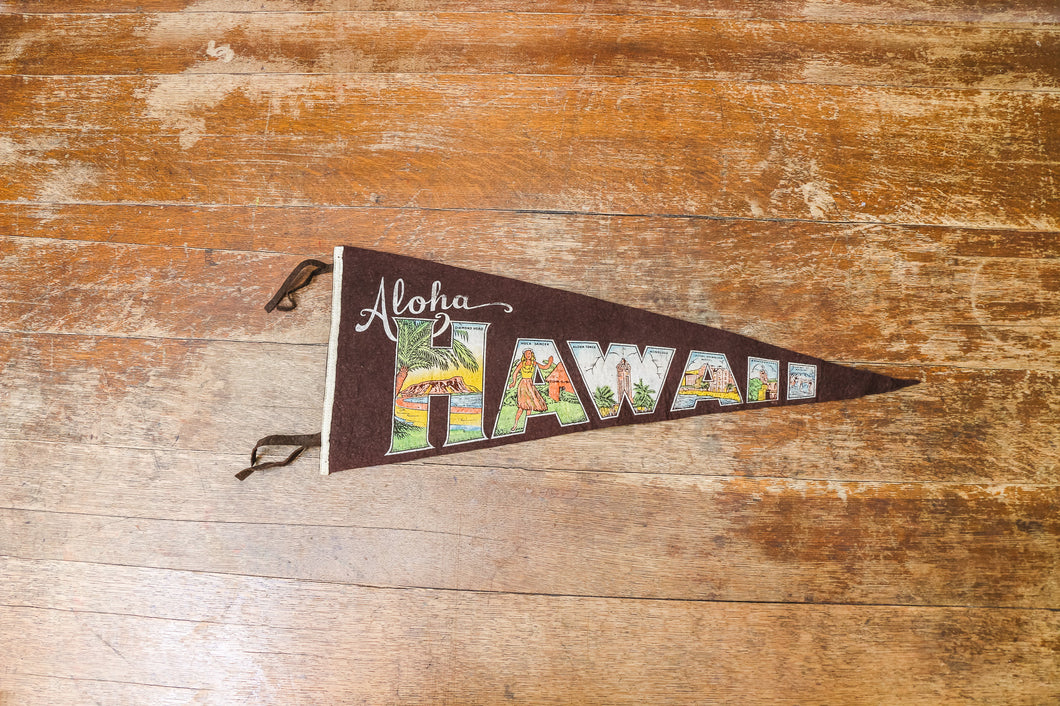 Hawaii Brown Felt Pennant Vintage Travel Wall Decor