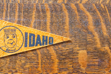 Load image into Gallery viewer, Mini Idaho Felt Pennant Vintage Orange Potato Wall Decor
