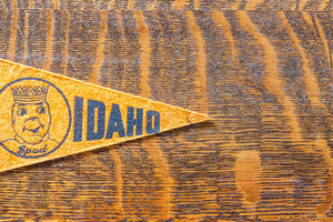 Mini Idaho Felt Pennant Vintage Orange Potato Wall Decor