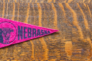 Mini Nebraska Felt Pennant Vintage Maroon NE Wall Decor