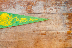 Taylors Falls Minnesota Felt Pennant Vintage Green Wall Decor