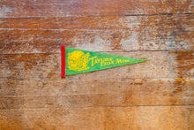 Load image into Gallery viewer, Taylors Falls Minnesota Felt Pennant Vintage Green Wall Decor
