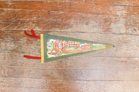 Tijuana Mexico Mini Green Felt Pennant Vintage Wall Decor