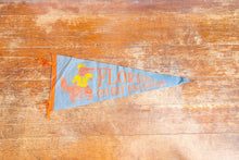 Load image into Gallery viewer, University of Florida Gators Vintage College Wall Decor

