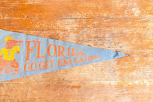 Load image into Gallery viewer, University of Florida Gators Vintage College Wall Decor
