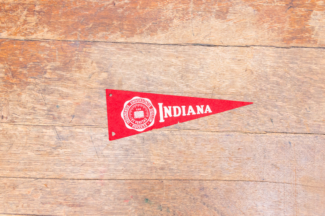 Indiana University Felt Pennant Vintage Mini College Wall Decor - Eagle's Eye Finds
