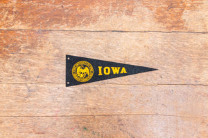 University of Iowa Felt Pennant Vintage College Wall Decor - Eagle's Eye Finds