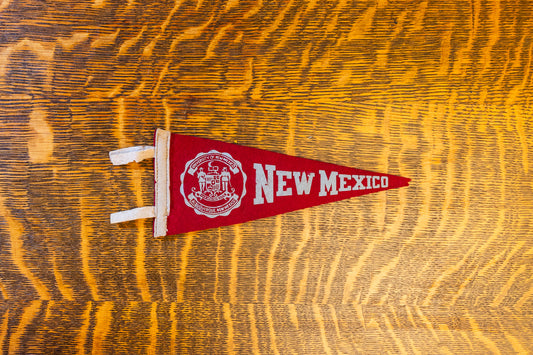 University of New Mexico Mini Felt Pennant Vintage College Decor