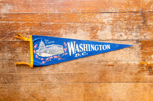 Washington D.C. Blue Felt Pennant Vintage Wall Decor