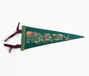 Reno Nevada Green Felt Pennant Travel Souvenir Vintage - Eagle's Eye Finds